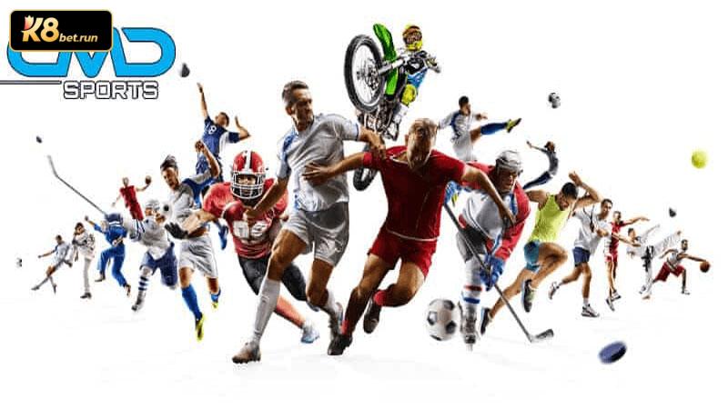 Giới thiệu Sảnh CMD Sports | Sảnh cá cược thể thao hàng đầu Việt Nam