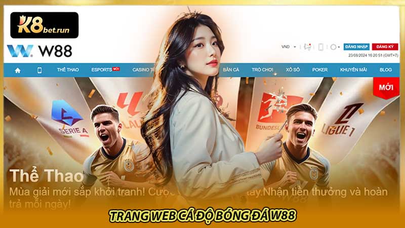 Trang web cá độ bóng đá W88